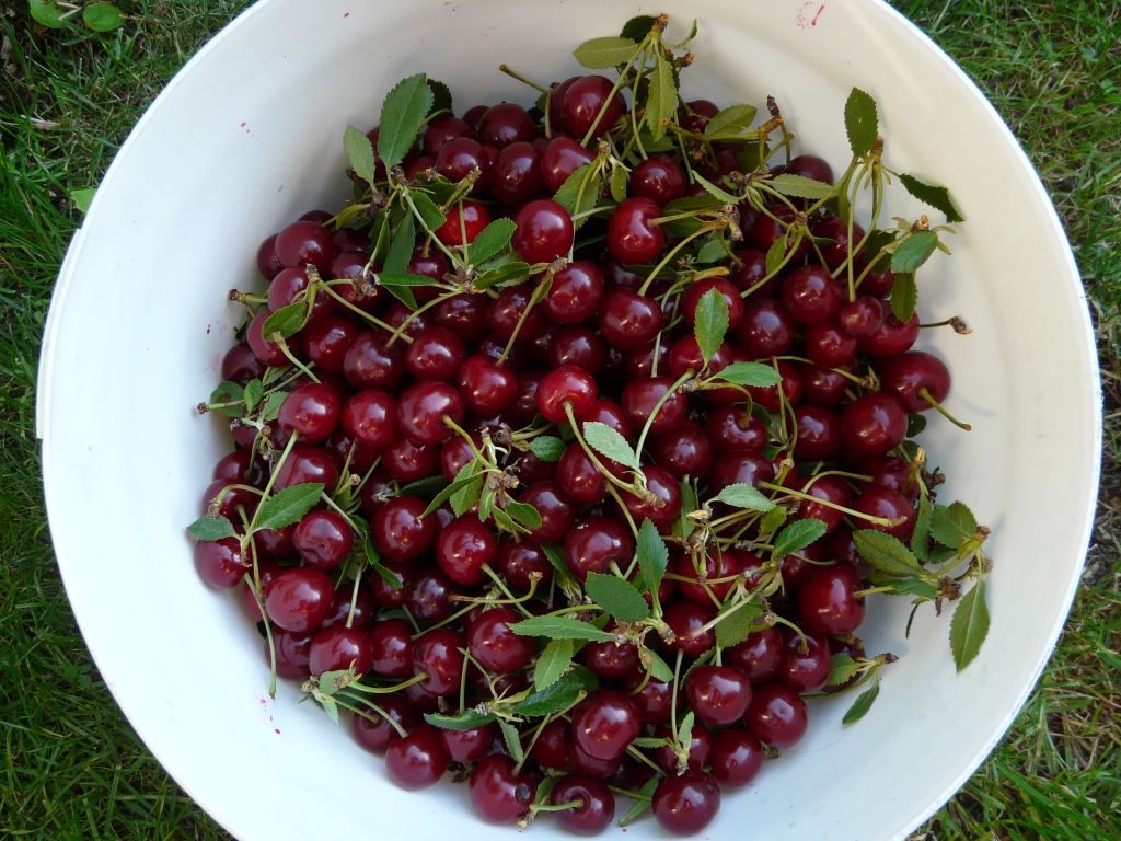 Višně, Extra džem méně sladký