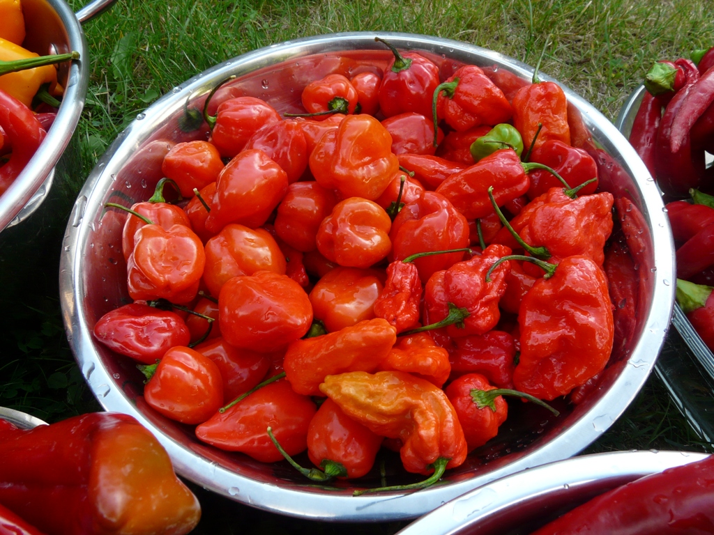 Chilli jam, Pikantní zeleninová pomazánka